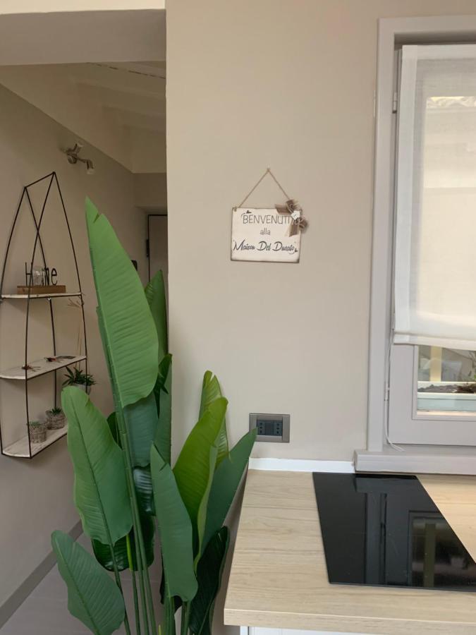 פארמה Maison Del Ducato “Cavour 24” מראה חיצוני תמונה